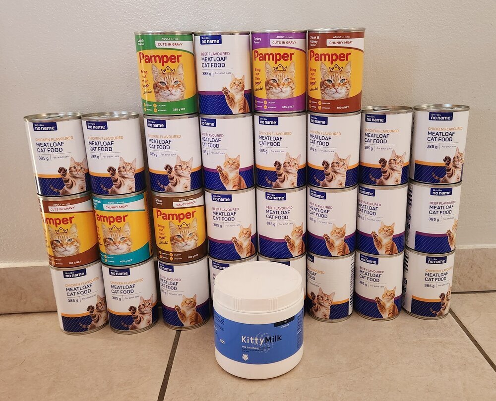 Auxillium Free Roaming Feline Care
